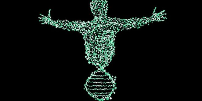 Die DNA des Erfolgs - Welche 4 Bausteine das Fundament bilden