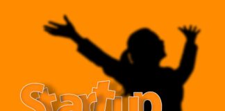 Rock my sleep Spieluhren: Kuscheltiere die Lieblingssongs spielen. Vom Rock Löwen Eddie den Hip Hop Bären Jay, Ivy dem Pop Hase bis Pop Legends Image by Gerd Altmann from Pixabay