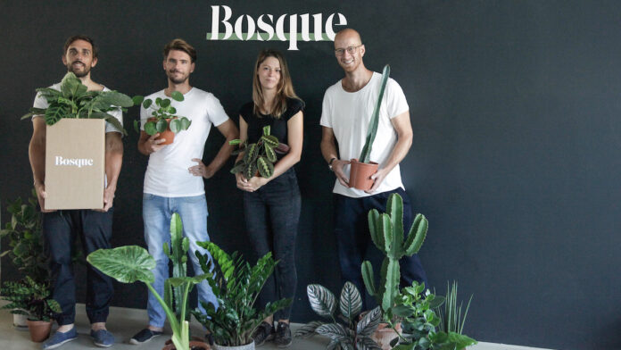 Bosque nachhaltig Pflanzen Topf