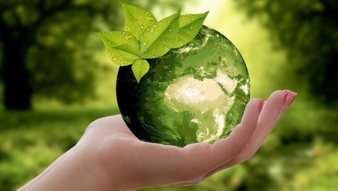 Green Marketing Zukunft Nachhaltigkeit