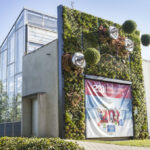 Setting zusammenbauen Visioverdis botanische Potential vertikal wachsende Bäume Pflanzen