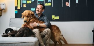 FirstVet telemedizinische Tiere