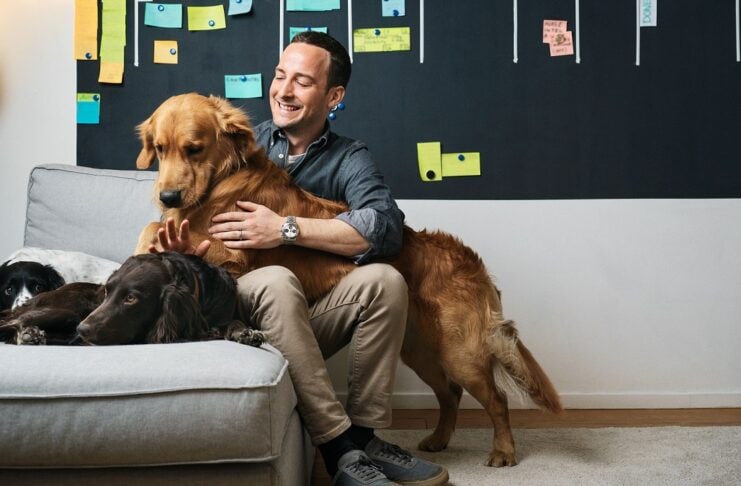 FirstVet telemedizinische Tiere