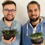 Startet in kleinen Schritten Grow-Grow Nut Microgreen: Kokosnuss Saatgut Kokoserde