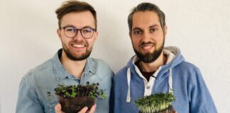 Grow-Grow Nut Microgreen: Kokosnuss Saatgut Kokoserde