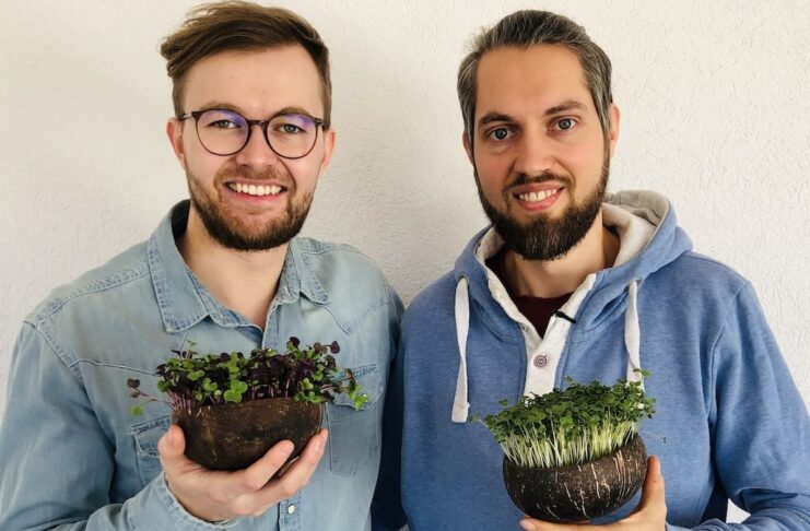 Grow-Grow Nut Microgreen: Kokosnuss Saatgut Kokoserde