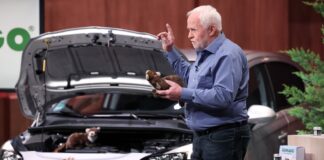 Klaus Skottki GOMAGO Marderschutz für Auto und Haus Höhle der Löwen