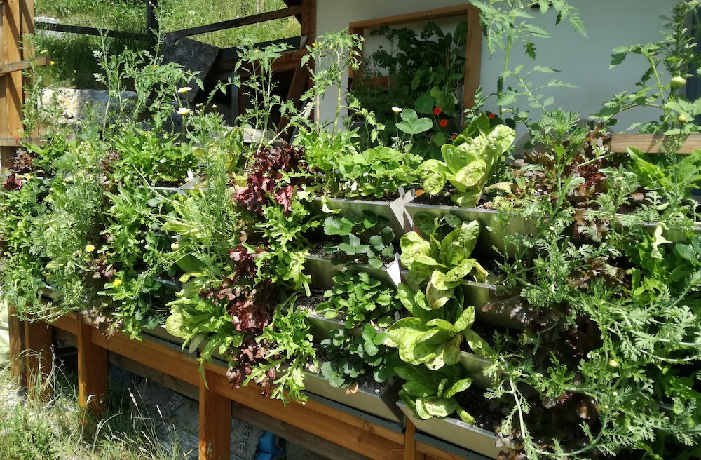 Herbios multifunktionale Vertikalbeete für essbare Gärten