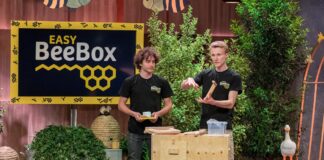 easyBeeBox Bienenkasten eigenes Bienenvolk Garten Höhle der Löwen