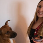 Sich vorab über alle finanziellen Dinge kümmern KlettDOG Hundehalsband wechselbaren Designs