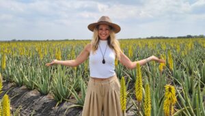 Mach dich auf eine Achterbahn gefasst