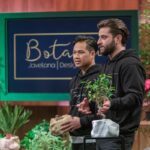 Seid offen und ehrlich Botanyia Pflanzen Übertopf Zimmerpflanzen Höhle der Löwen