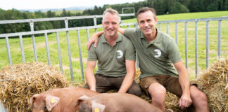 meinschwein tierwohl 2 minuten 2 millionen