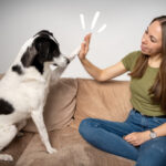 Sei anpassungsfähig und ändere deine Pläne, aber niemals das Ziel SVÄCKS Snacks Hunde