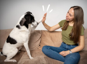 Sei anpassungsfähig und ändere deine Pläne, aber niemals das Ziel