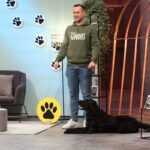 Risikobereitschaft und Mut Moritz Röschl Gründer von NAGOS, veganer Snack, der sowohl für Menschen, als auch für Hunde geeignet ist, in der Höhle der Löwen