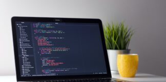 Software Dienstleistern