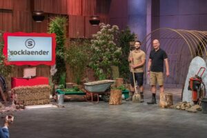 Mut zum Risiko und an seine Idee glauben