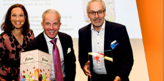 GelatoPack lieferbox speiseeis