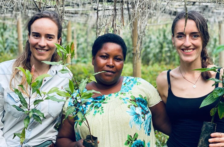 growmytree Baumbepflanzungen für die Biodiversität und gegen den Klimawandel- sowie Plastiksammlungen oder Riff-Regenerationen kaufen und verschenken