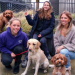 Macht etwas, wofür ihr wirklich leidenschaftlich seid petgood Haustierprodukte auf Insektenbasis