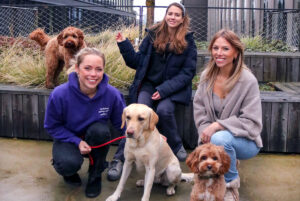 Macht etwas, wofür ihr wirklich leidenschaftlich seid