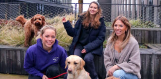 petgood Haustierprodukte auf Insektenbasis