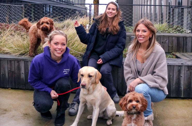 petgood Haustierprodukte auf Insektenbasis