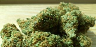 Legalisierung von Cannabis