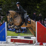 Nur das Unerwartete bringt echte Reichweite horsemapp