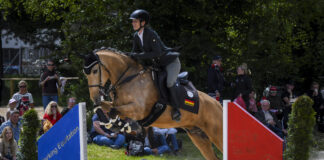 horsemapp