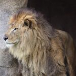 Diese 5 Startups sind am 24 April bei DHDL 24. april