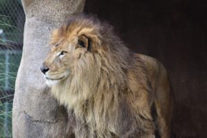 Diese 5 Startups sind am 24 April bei DHDL