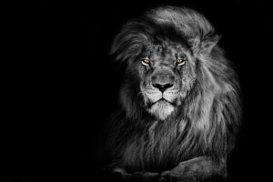 Diese 5 Startups sind am 08. Mai bei DHDL