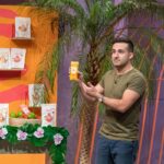 Es gibt nie den perfekten Zeitpunkt ZEBRASTIC Ice, Smoothie-Eis zum Selbsteinfrieren gründer in der höhle der löwen im pitch vor den löwen