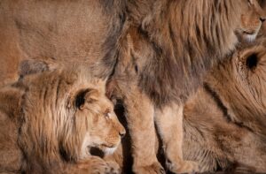 Spannende Gründerideen am 29. Mai um 20:15 Uhr bei VOX