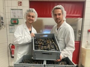 Träume groß und verfolge aktiv deine Ziele