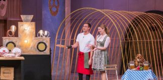 brizza dhdl