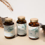 Immunsystem Bundle von Nature Basics. immunsystem nature basic