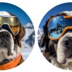 Mix dir dein Erfolgsrezept AlpenAlk