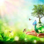 Wie beeinflusst die Integration von Nachhaltigkeit die Kundenbindung? nachhaltigkeit