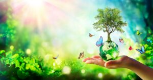 Wie beeinflusst die Integration von Nachhaltigkeit die Kundenbindung?