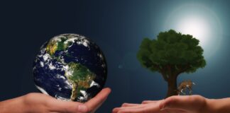 klimawandel