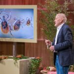 Schluss mit Zeckenproblemen: Effiziente Befreiung ohne Quetschen tickSAFE