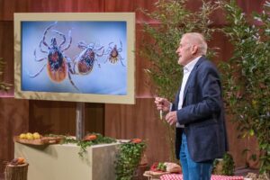 Schluss mit Zeckenproblemen: Effiziente Befreiung ohne Quetschen