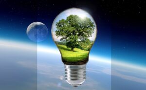 Warum sind nachhaltige Praktiken der Schlüssel zum Start-up-Erfolg?