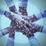 Warum sind lokale Partner für Start-ups unverzichtbar? vernetzung