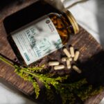 Am Anfang war der Samen bio bockhornklee