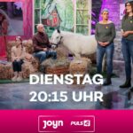 Was gibt Kindern und Familien in schweren Zeiten neue Hoffnung? Therapiehof Regenbogental Familien Kinder Pitch in der Sendung 2 Minuten 2 Millionen @ PULS 4 Fotograf Gerry Frank