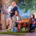 Innovation für mehr Sicherheit beim Spaziergang mit dem Hund dogs-guard hund leine Pitch dogs-guard Andrea Heuser (l.) und Fiona Consuela Czerwionke präsentieren das ausbruchsichere und verwicklungsfreie Leinenführsystem „dogs-guard“. Lisa Parczanny (r.) mit Hündin "Mila" unterstützen sie bei dem Pitch. RTL / Bernd-Michael Maurer